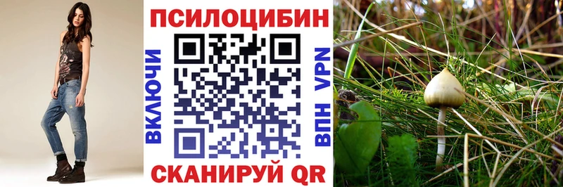 закладки  Богданович  Галлюциногенные грибы прущие грибы 